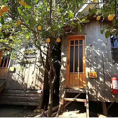 Ξενοδοχείο Varuna Kumluca